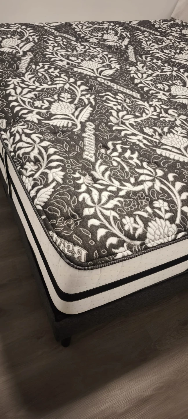 Sleep In Mattress Hybrid Collection Elena Queen Mattress - photo 4