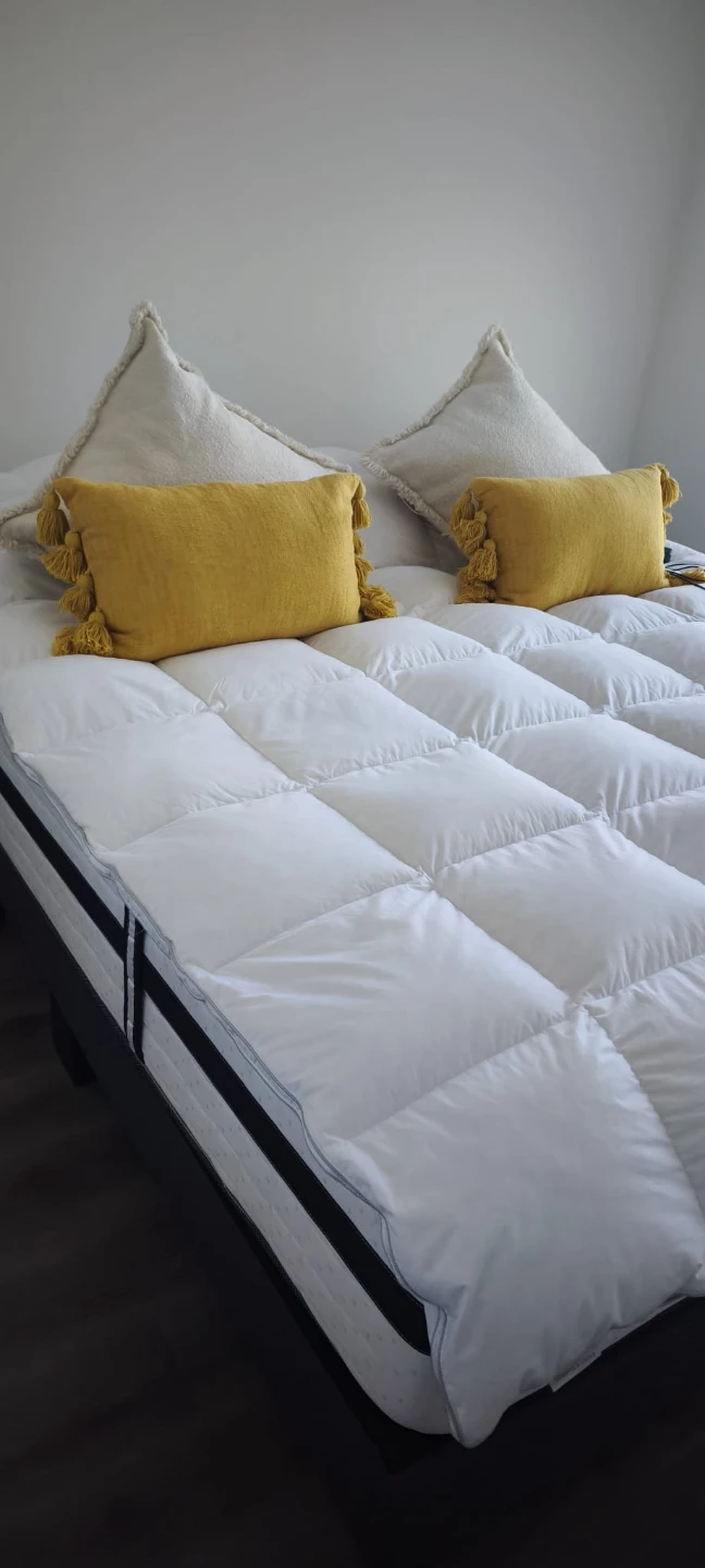 Sleep In Mattress Hybrid Collection Elena Queen Mattress - photo 5