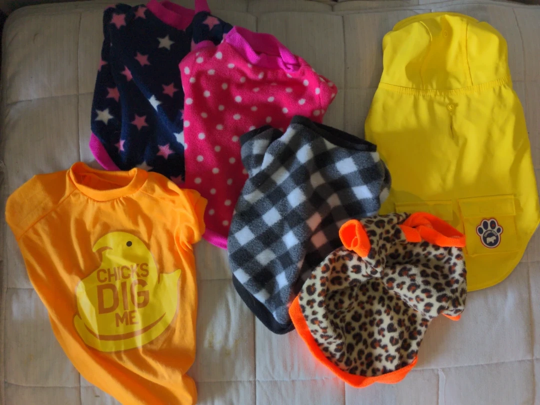 Bundle of 4 Dog Sweaters, Dog Shirt and Raincoat