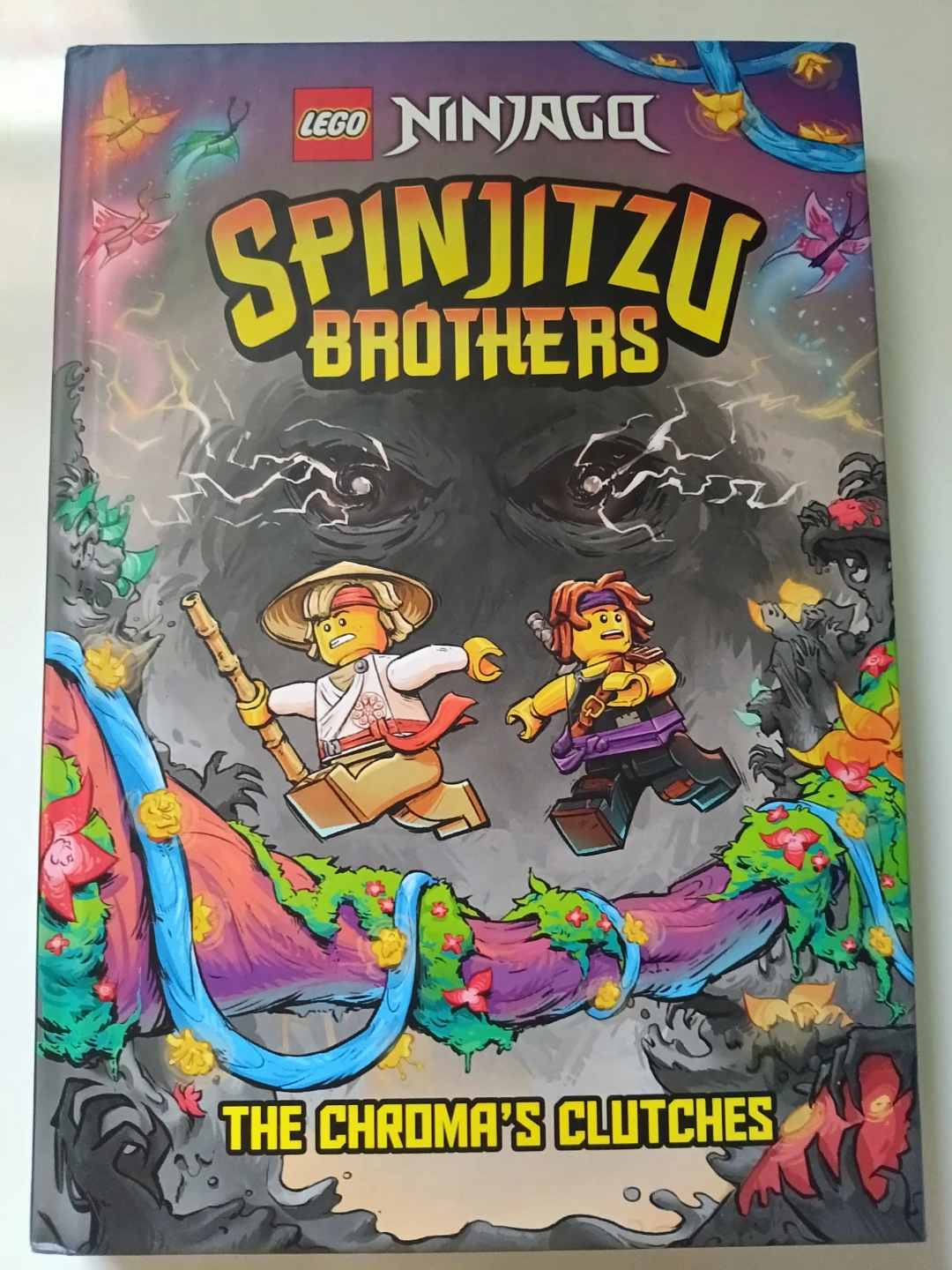 ⚽ Ninjago book "Spinjitzu brothers"