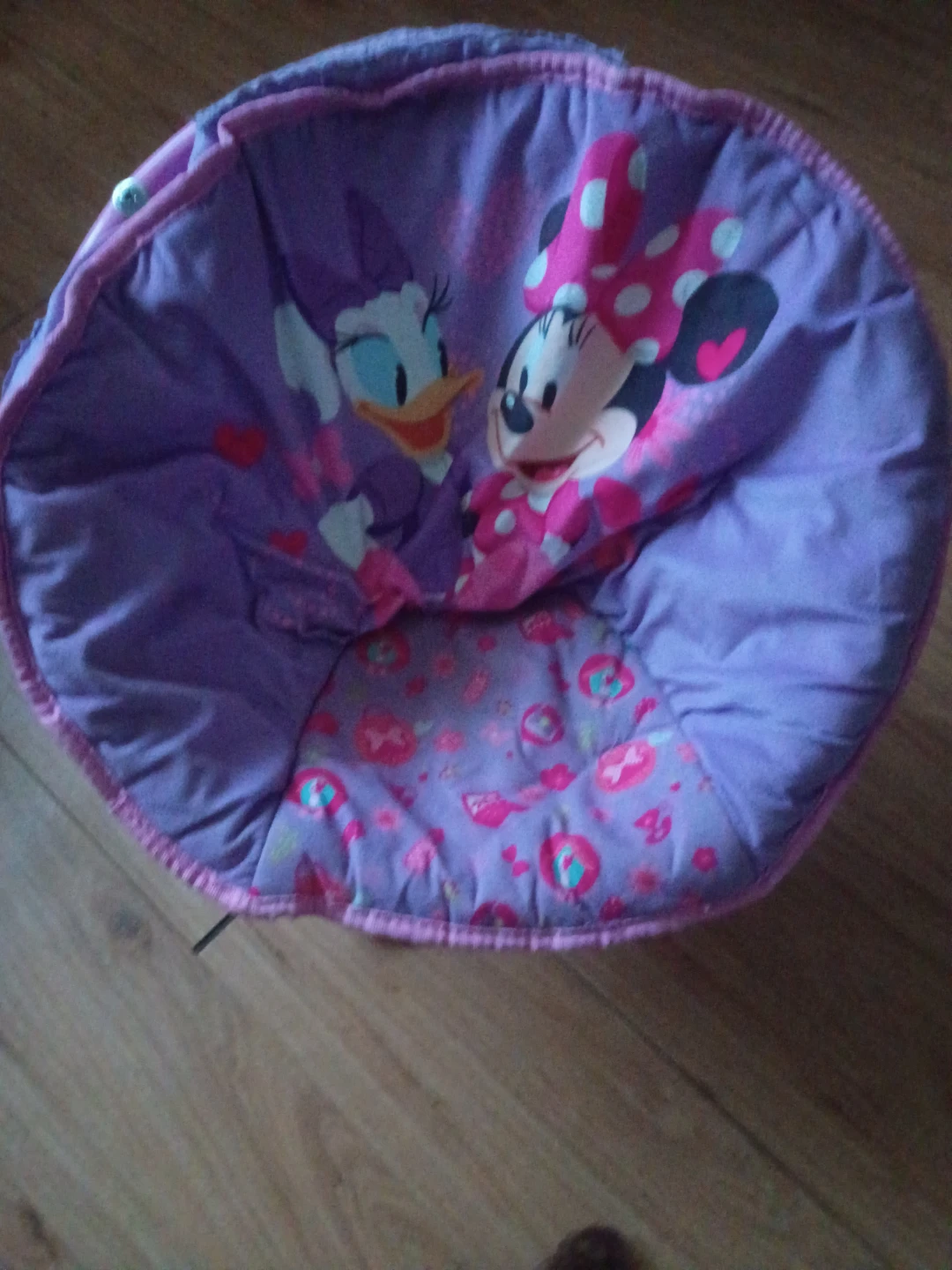 Kids Minnie Mouse & Daisy Duck Bean Bag Chair