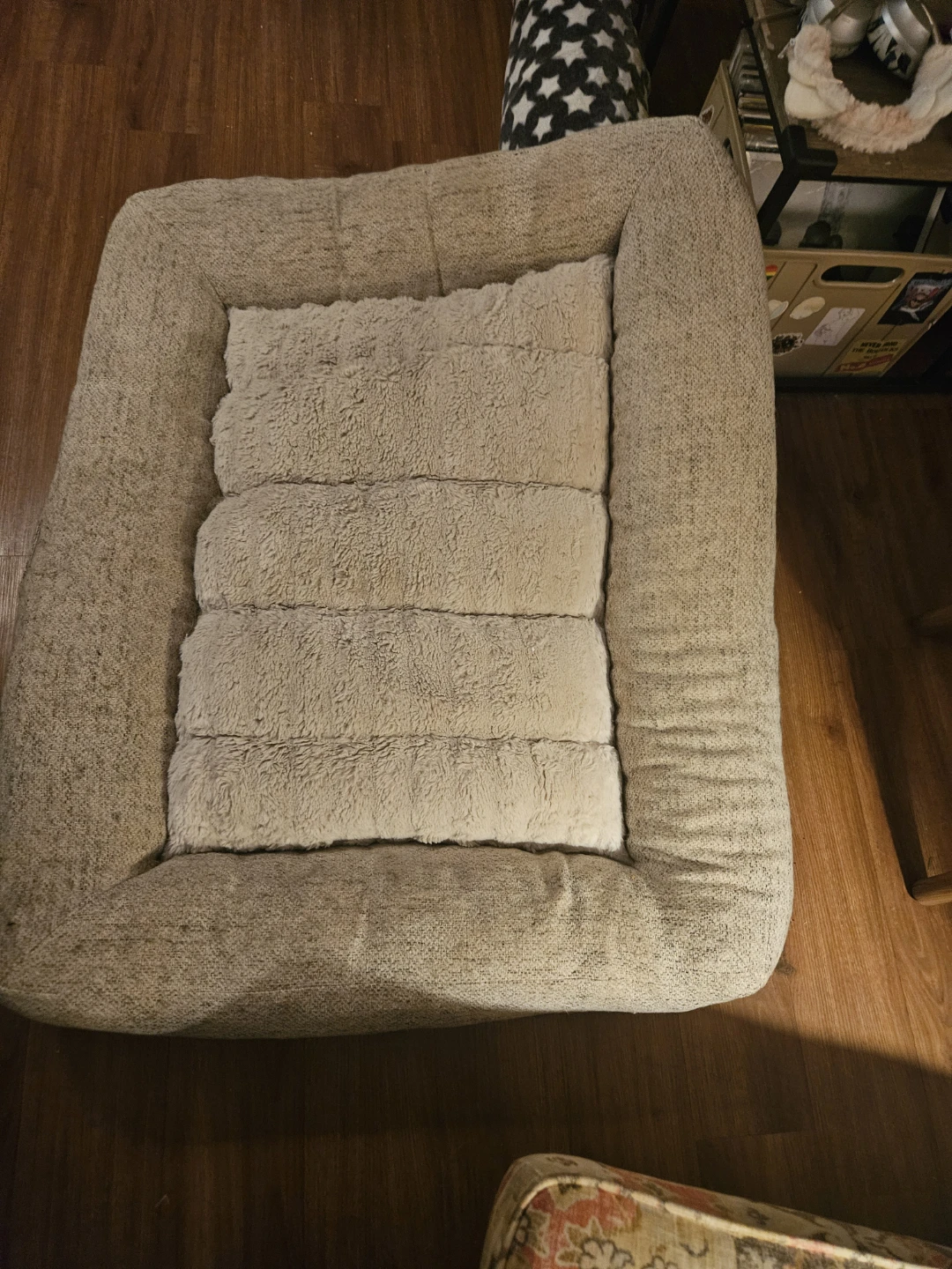 Dog Care Bundle - photo 3
