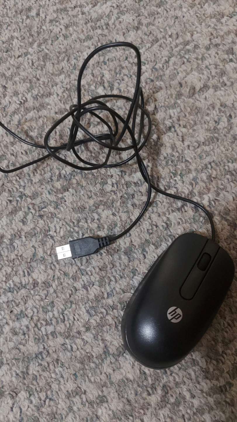 HP Wired Computer Mouse