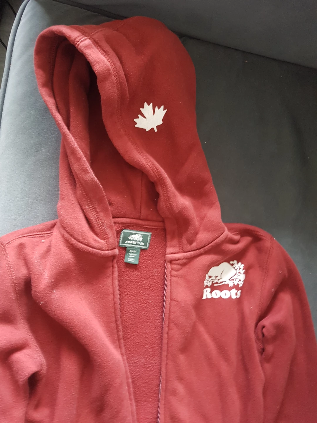 Roots Kids Hoodie - photo 3