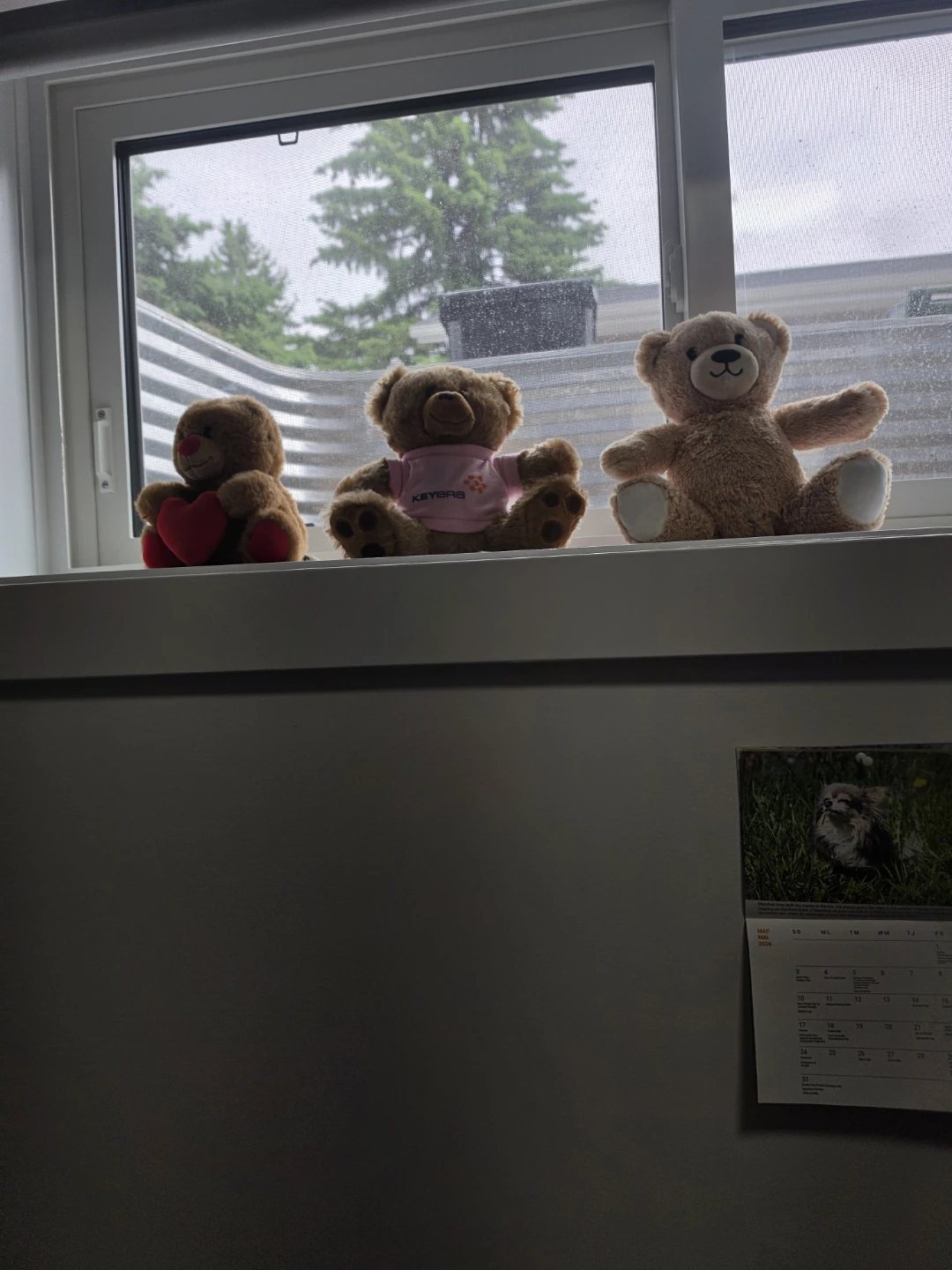 Plush Teddy Bear Toy with Keybra Shirt