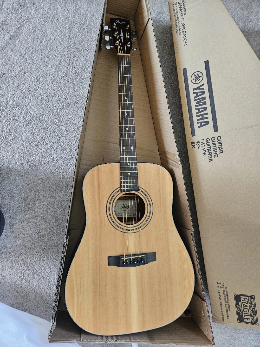 Cort Acoustic Guitar