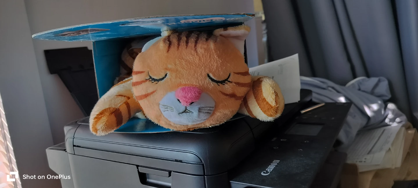 HuggieKitty Soothing Pet Plush Toy