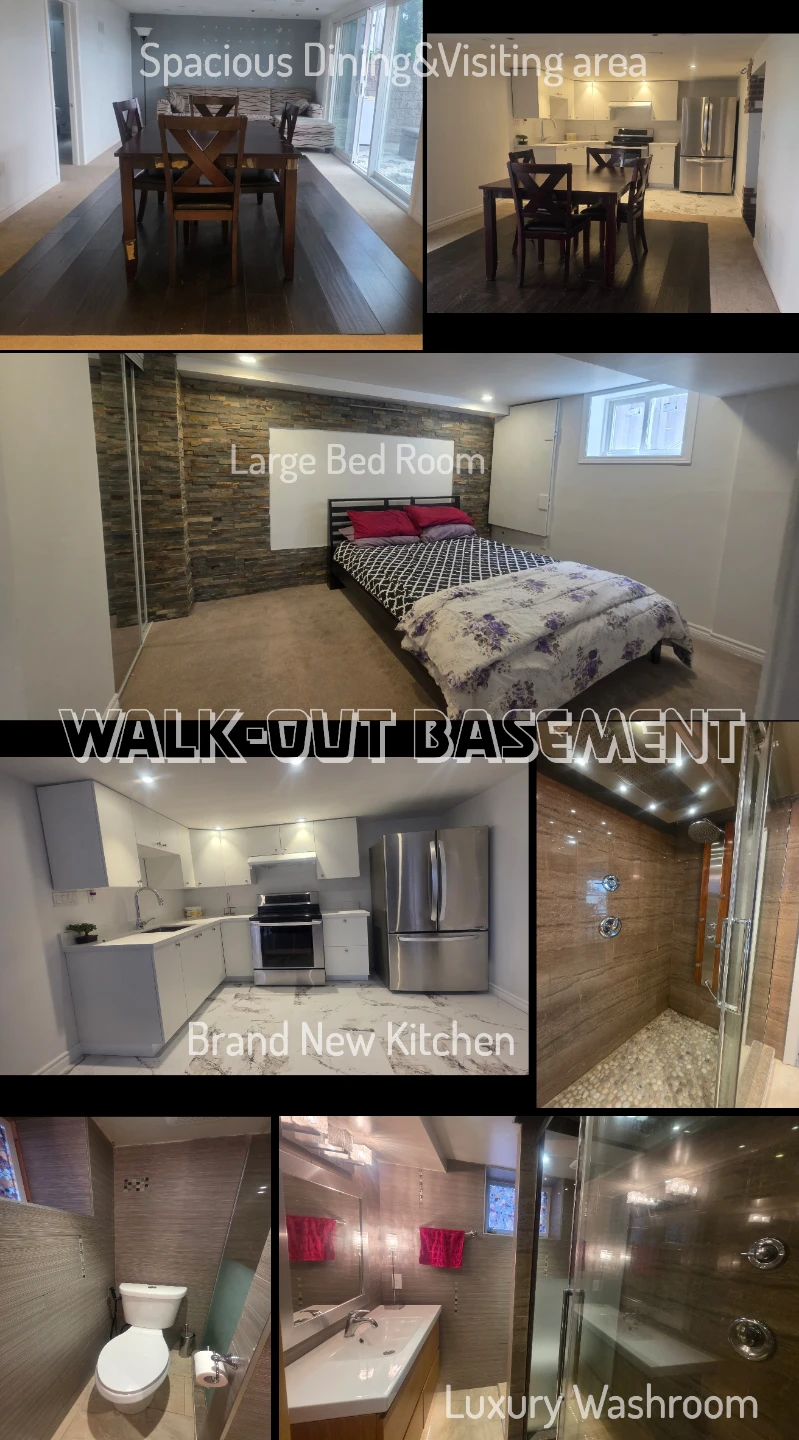 Walk-Out Basement Apartment