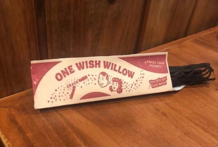 One wish willows (from the hit movie "Obession") - photo 2