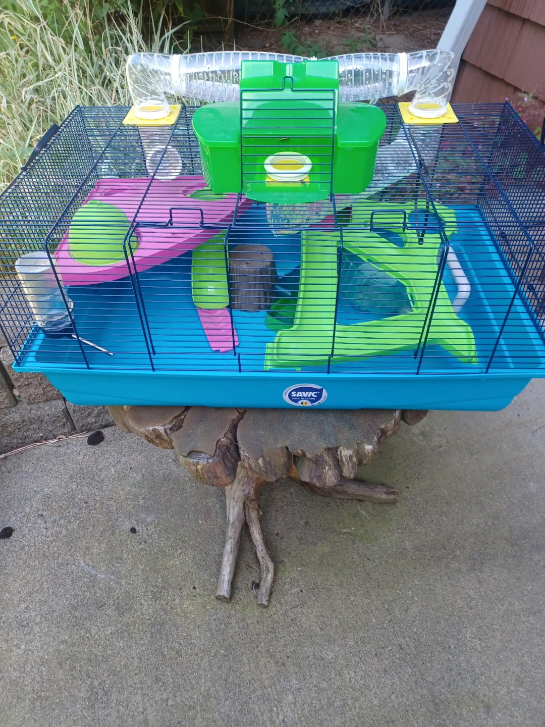 Hamster Maze Cage
