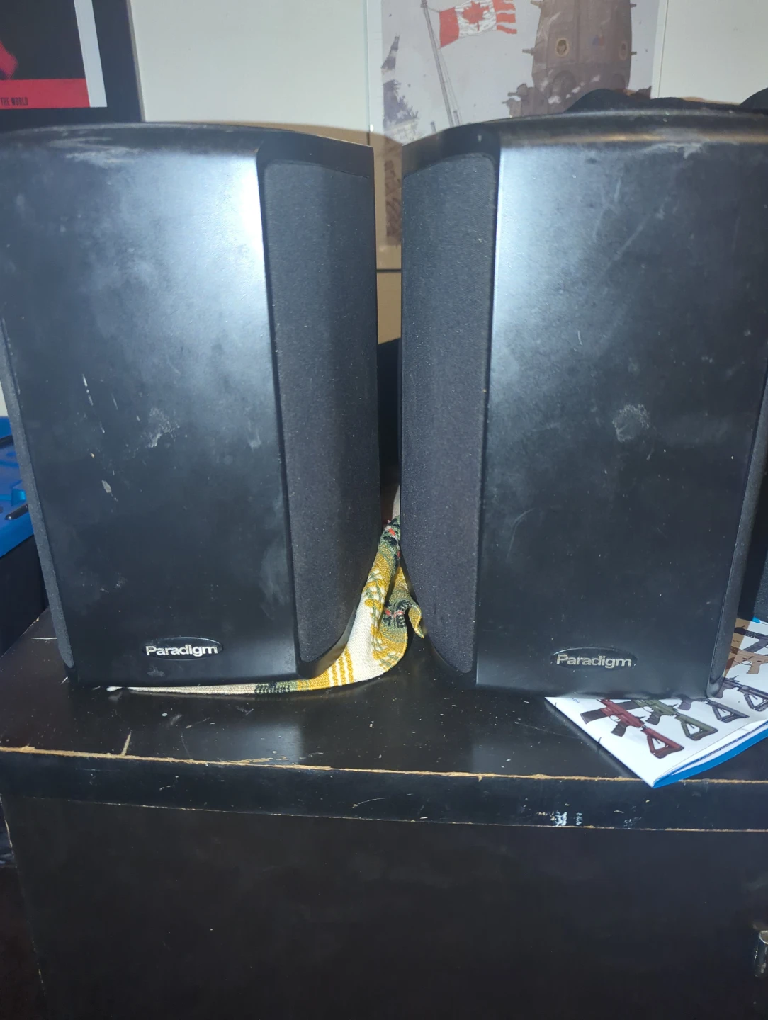 Paradigm speakers