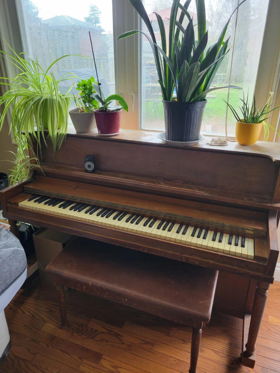 Vintage Quidoz Upright Piano