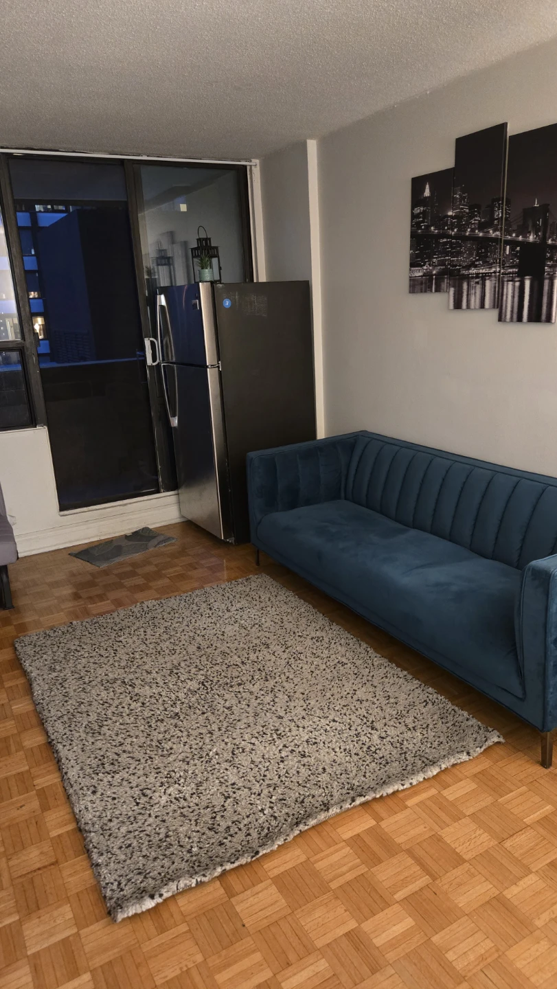 Carpet - photo 2