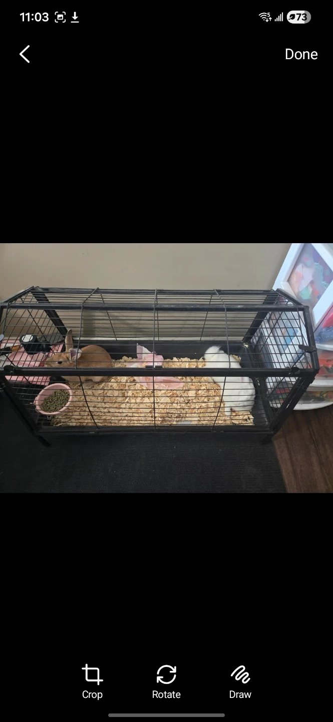 Wire Pet Cage with Plastic Tray