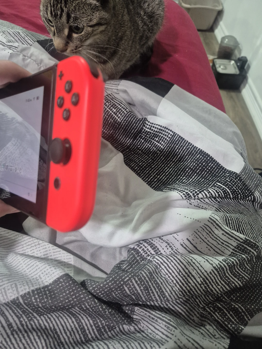 Nintendo Switch Console - photo 4