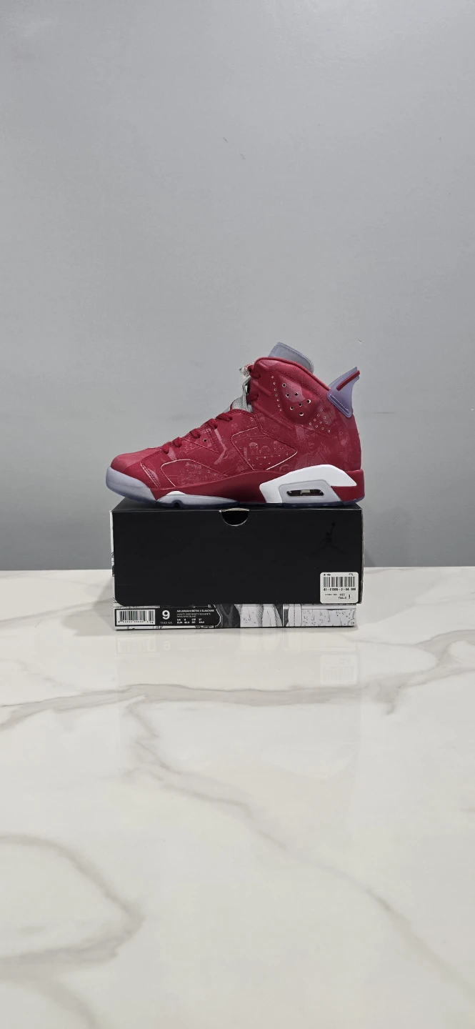 Air Jordan 6 Slam Dunk size 9 - photo 3
