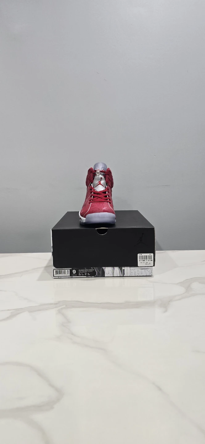 Air Jordan 6 Slam Dunk size 9 - photo 4