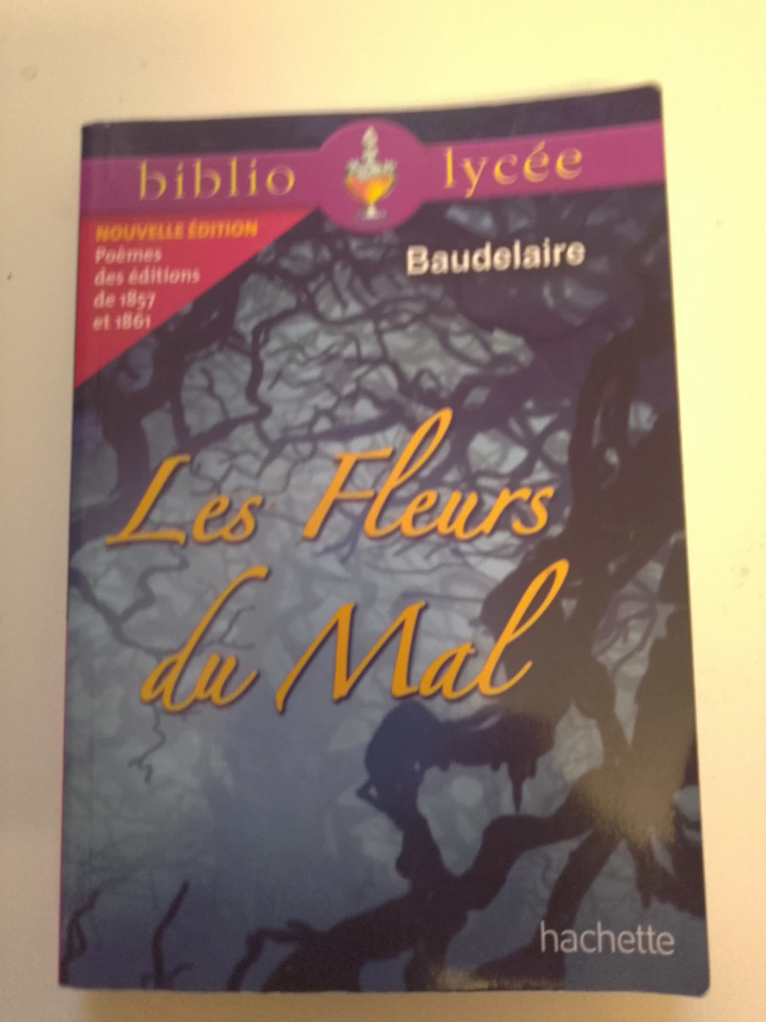 Les Fleurs du Mal Book ⚽