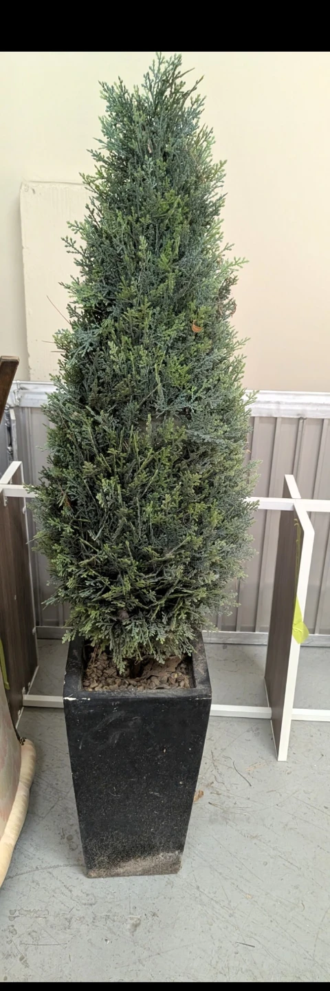 Artificial Cedar Topiary Tree in Black Pot