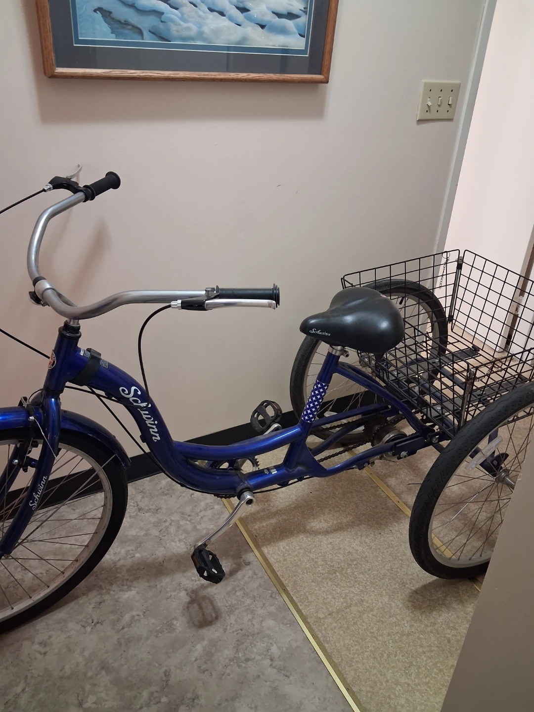Schwinn Blue Tricycle with Basket