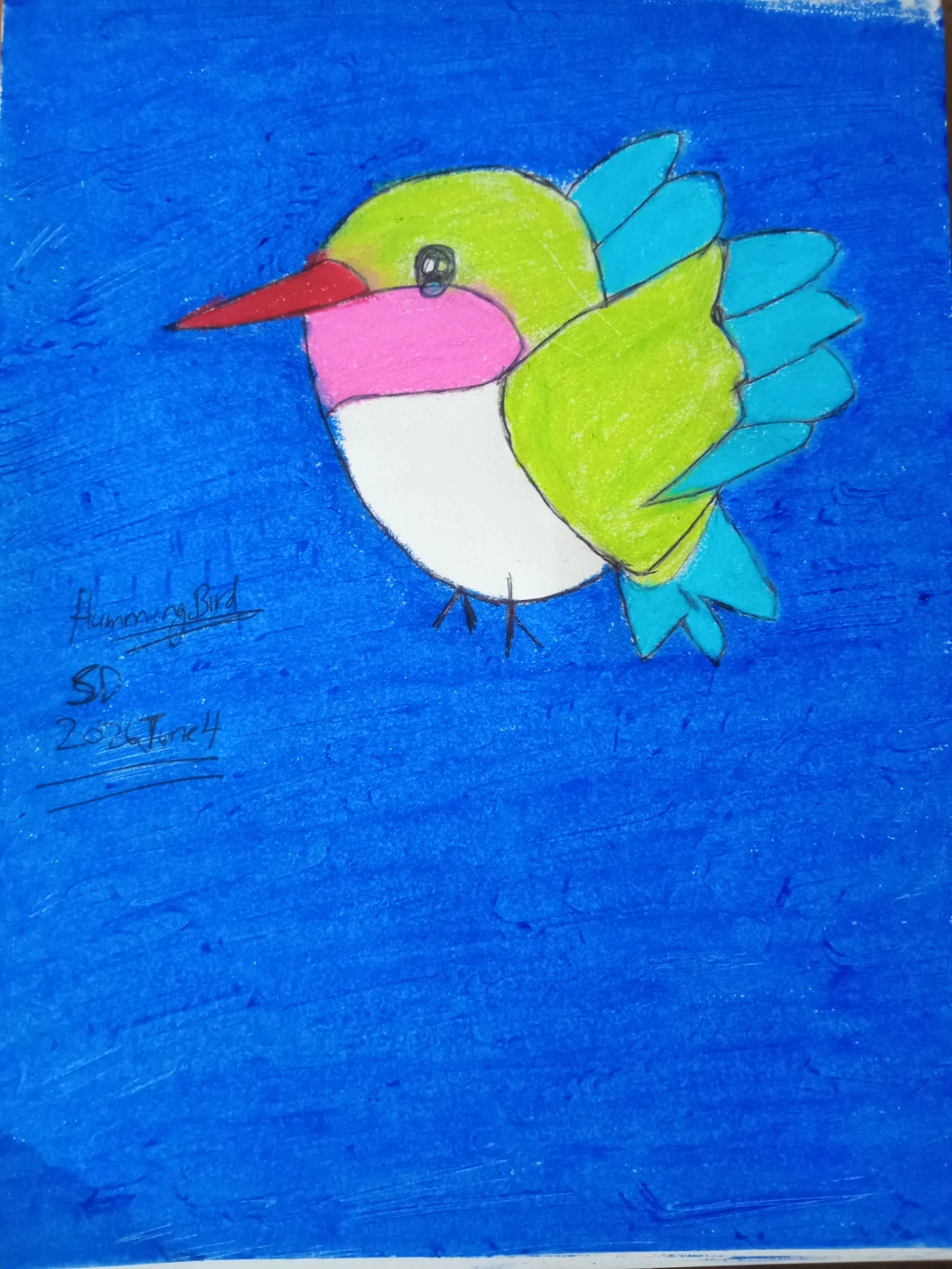 Hummingbird Drawing Illustration by Custom Artist