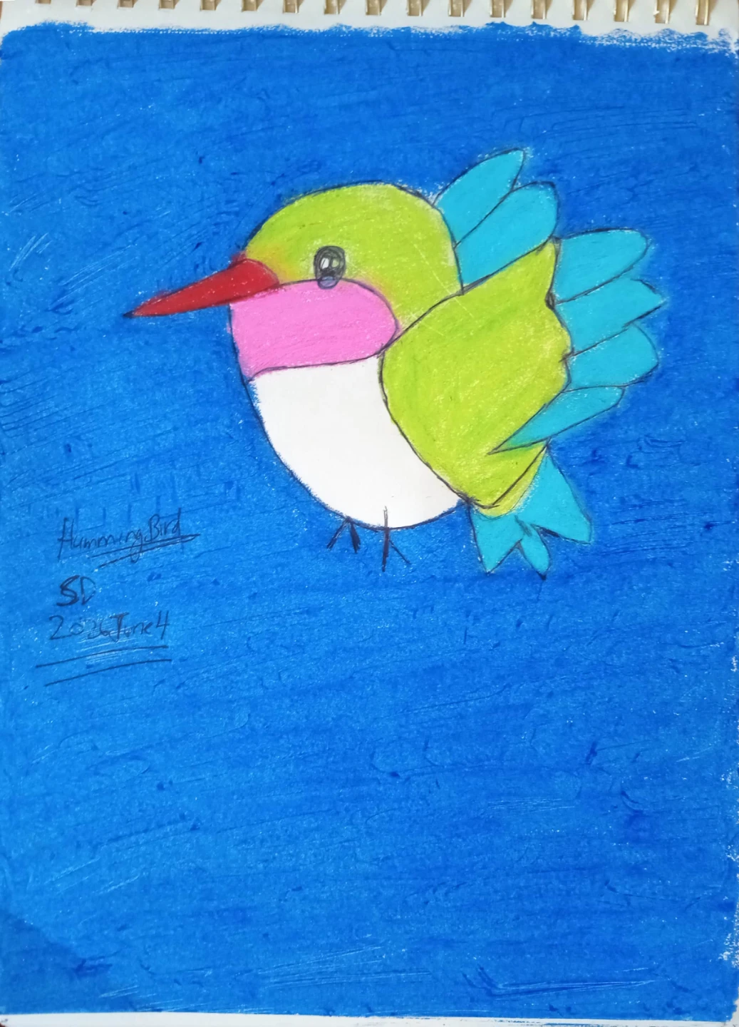 Hummingbird Drawing Illustration by Custom Artist - photo 5