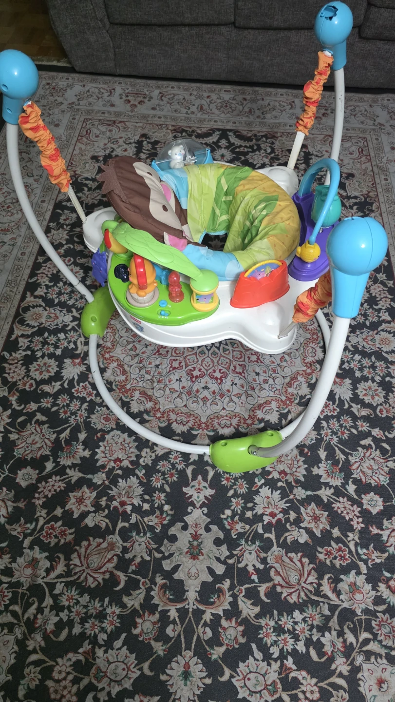Fisher-Price Jumperoo - photo 3