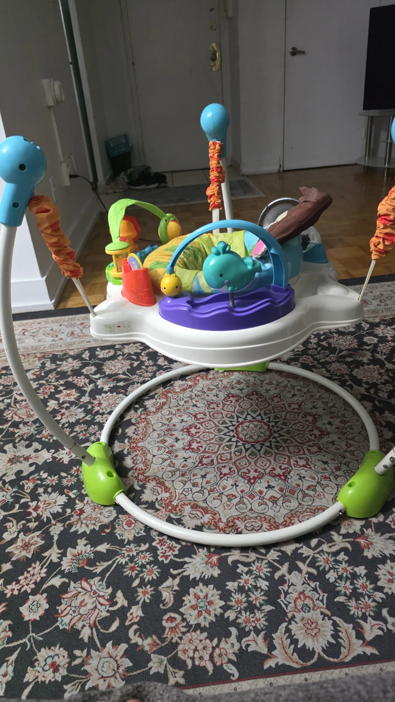 Fisher-Price Jumperoo - photo 5