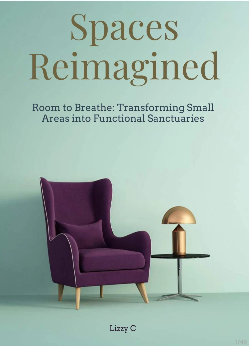 Spaces Reimagined EBook by Lizzy C