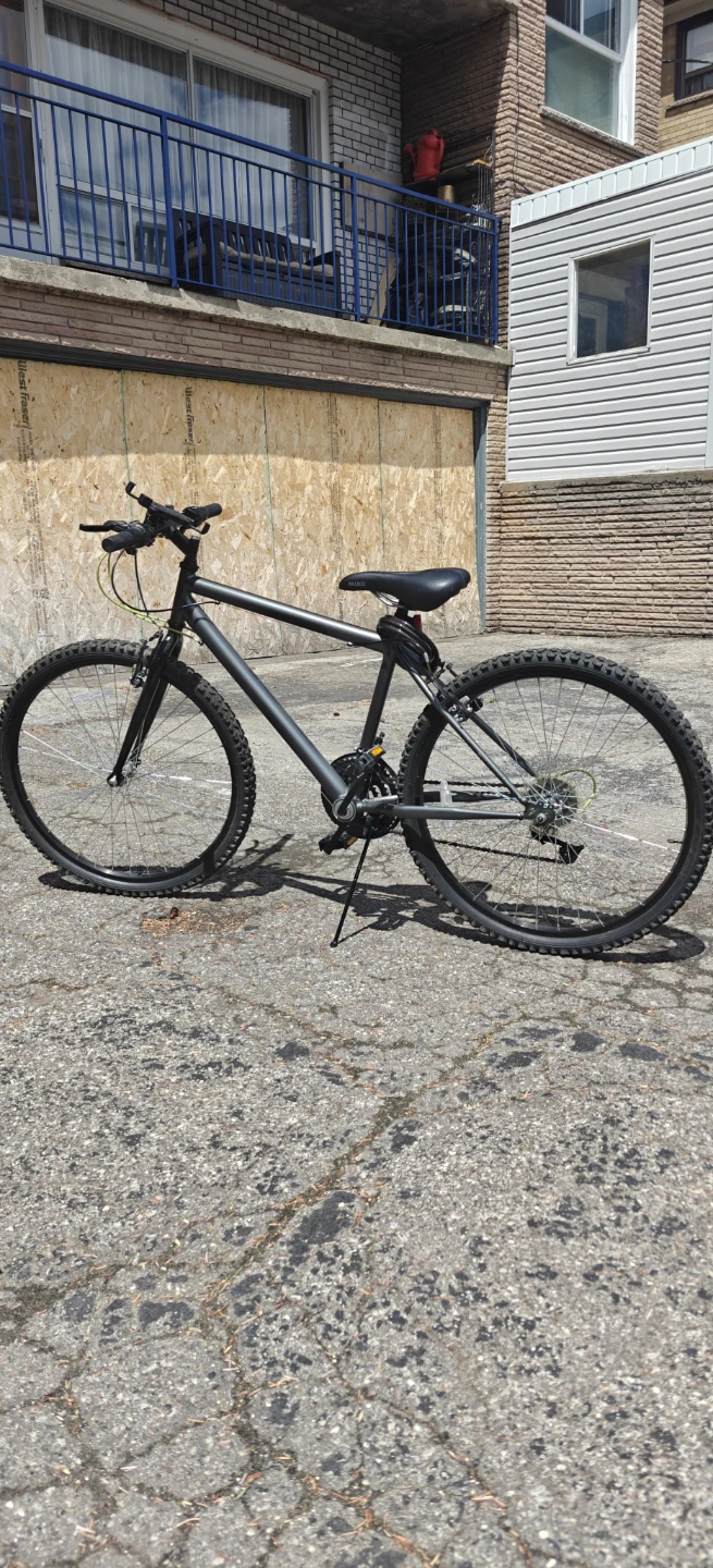 Mountain Bike - photo 2
