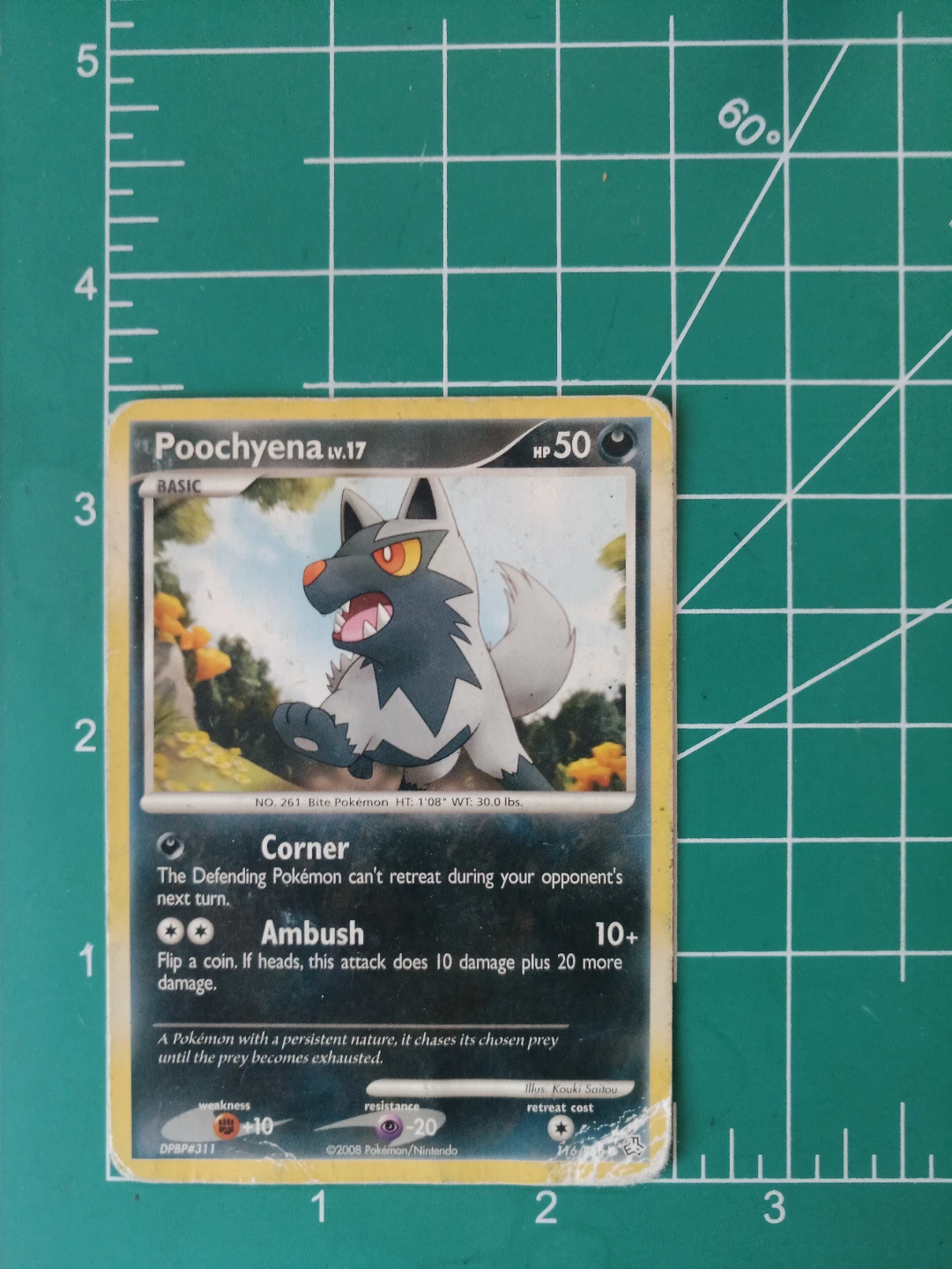 Pokemon TCG Poochyena Lv. 17 Card