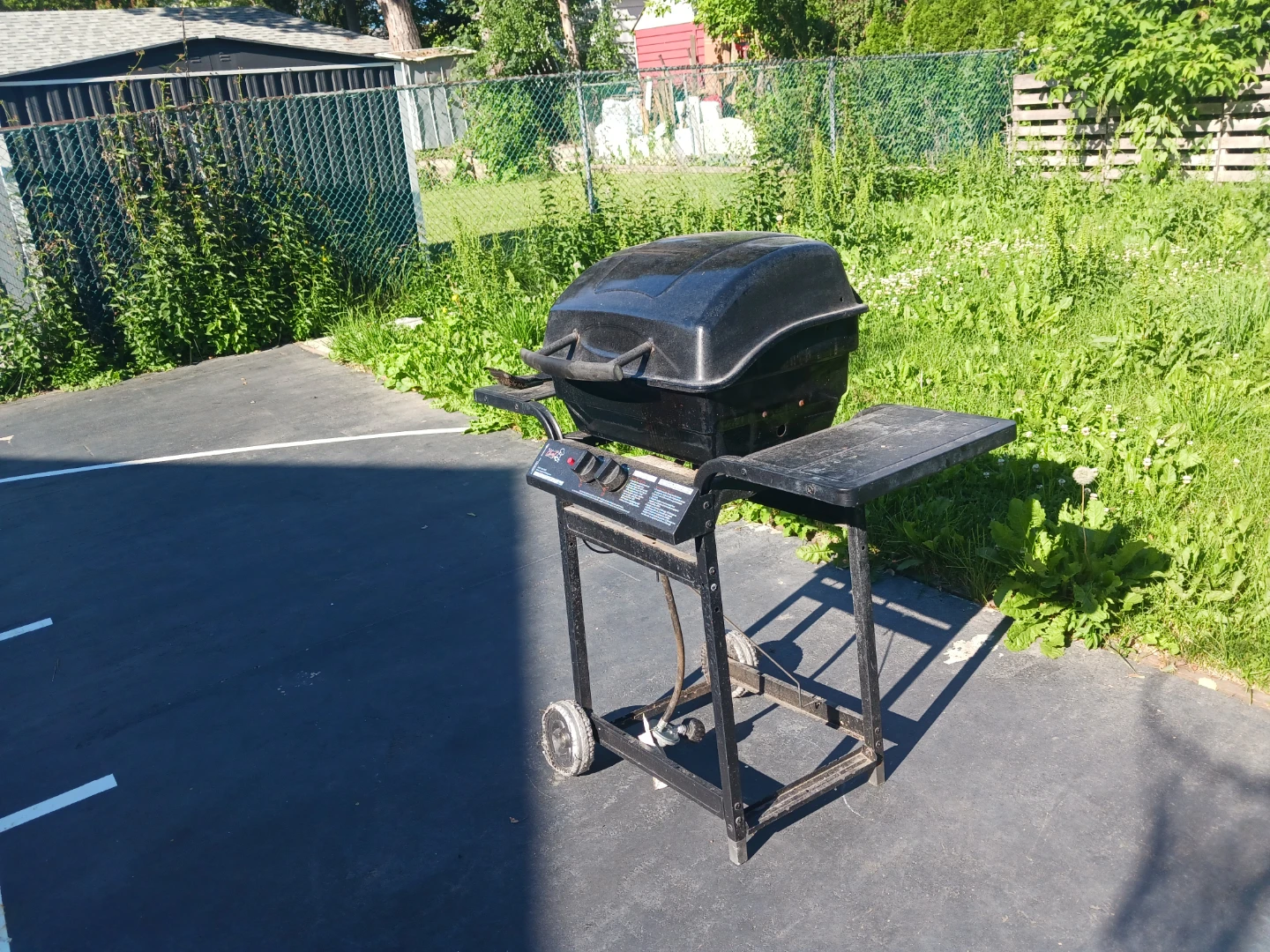 Enjoy summer with BBQ Grill