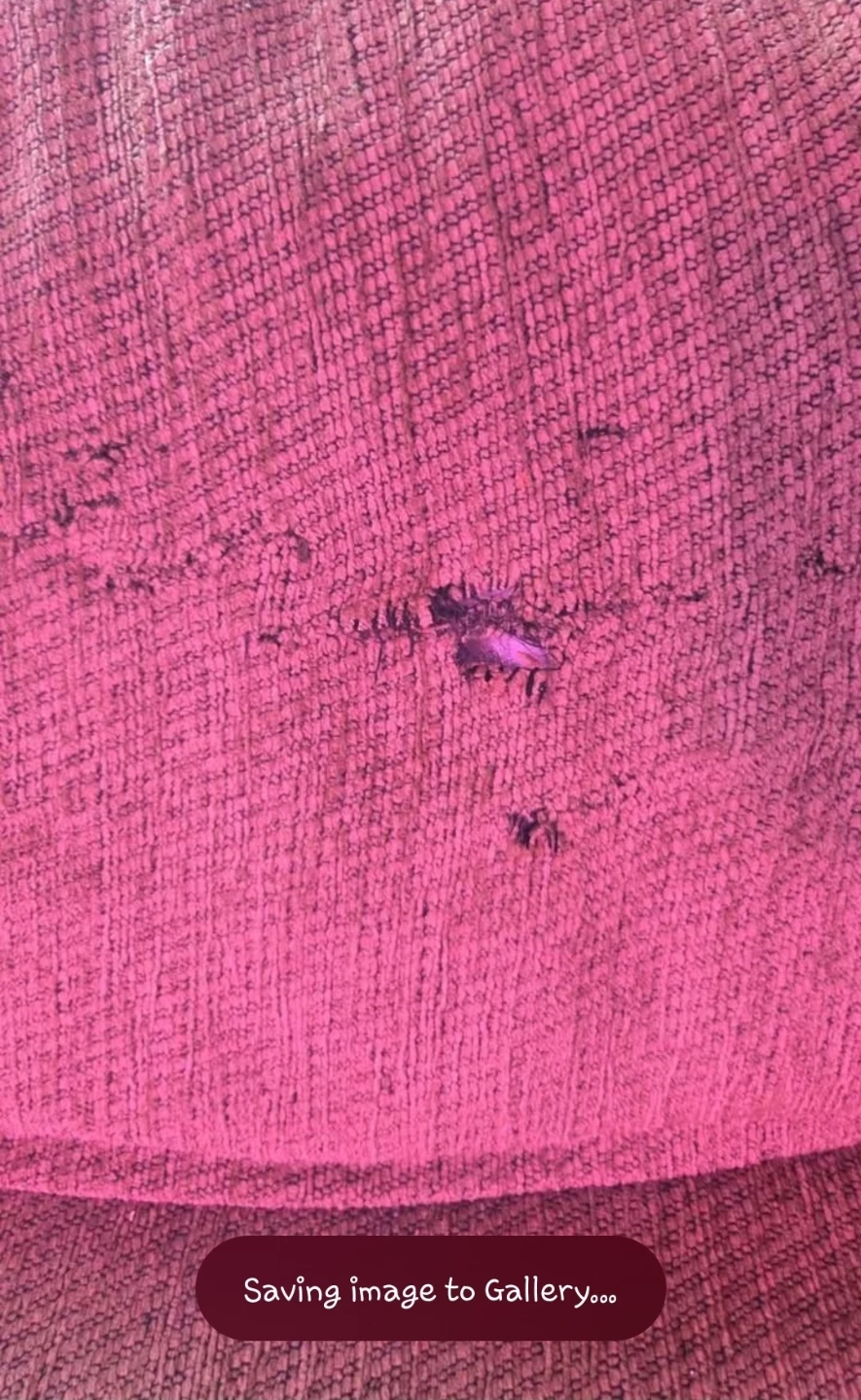 Brown Fabric Sofa - photo 4
