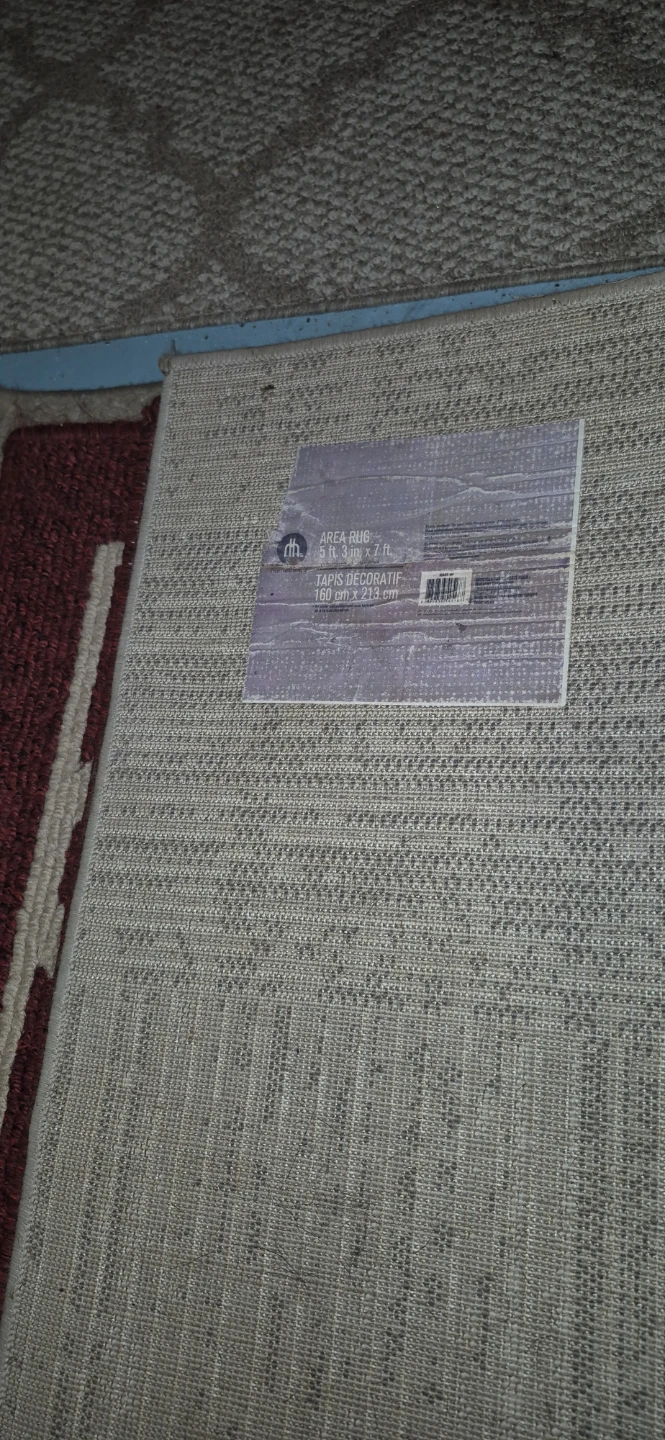 Area Rug 5 ft x 7 ft - photo 2