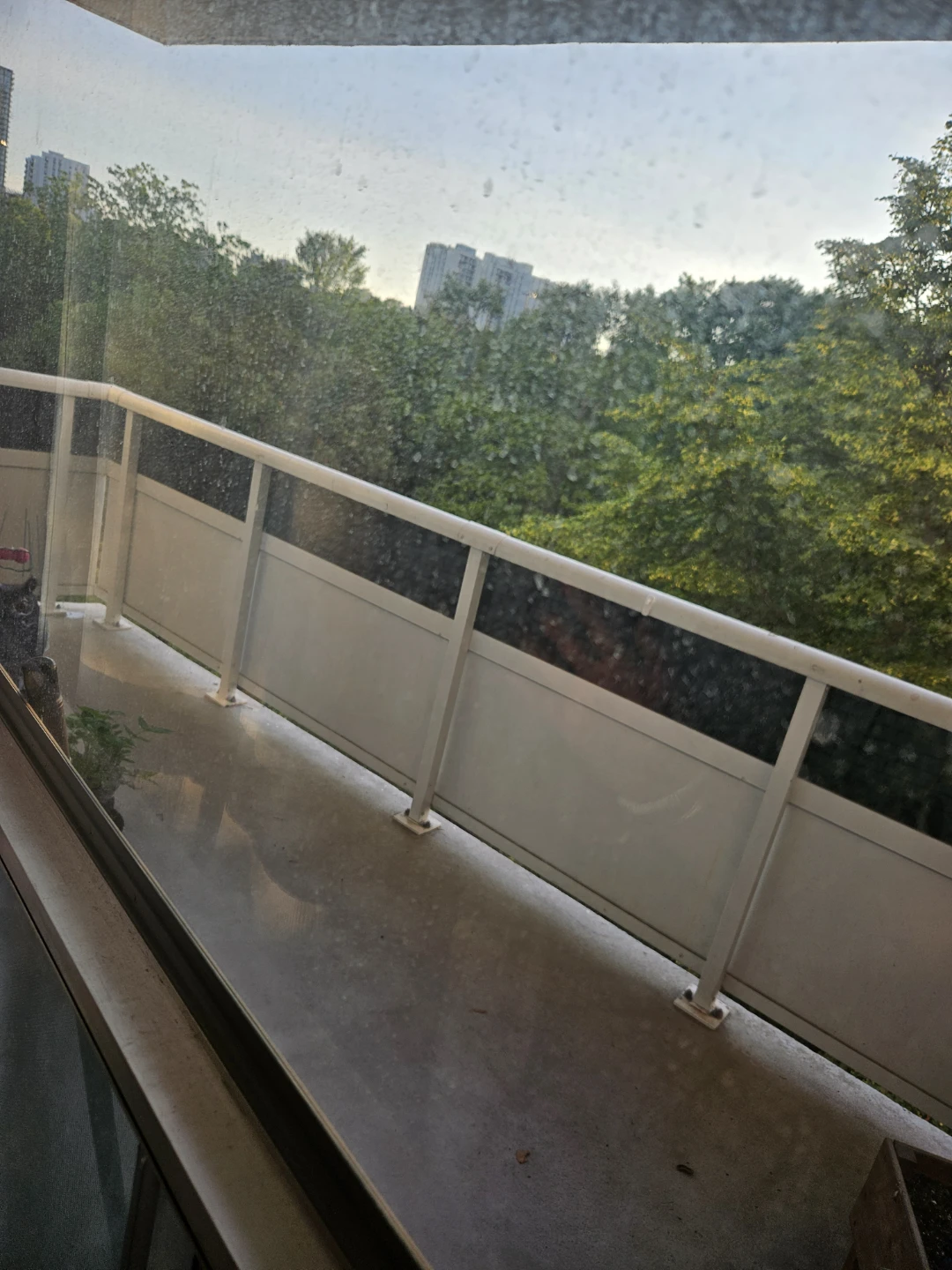 Wanted Female Roommate – Joint Tenancy | Available September