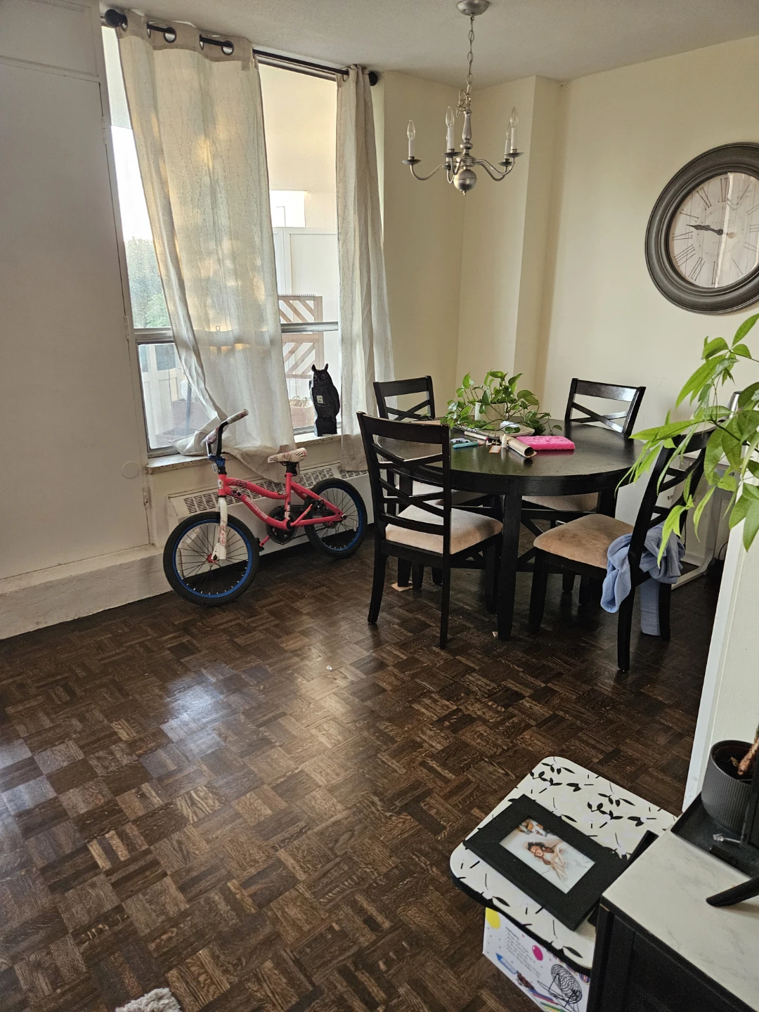 Wanted Female Roommate – Joint Tenancy | Available September - photo 5