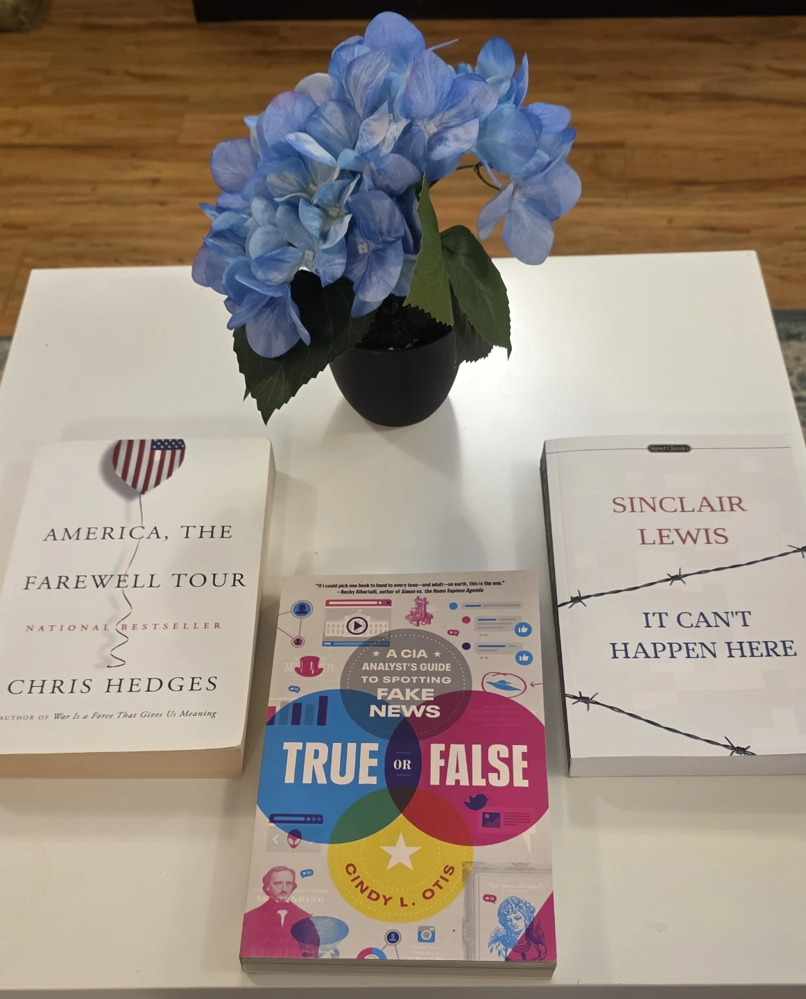 True or False: A CIA Analyst's Guide to Spotting Fake News