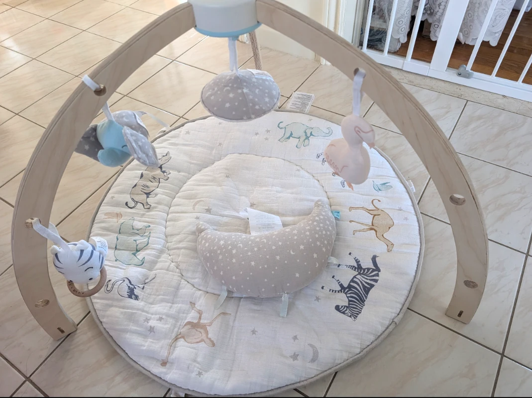 Baby Activity Play Gym with Toys
