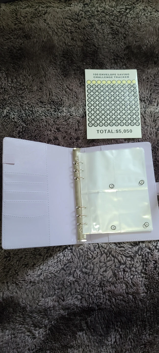 Luweoxy 100 Envelope Challenge (Money Saving Binder) - photo 3