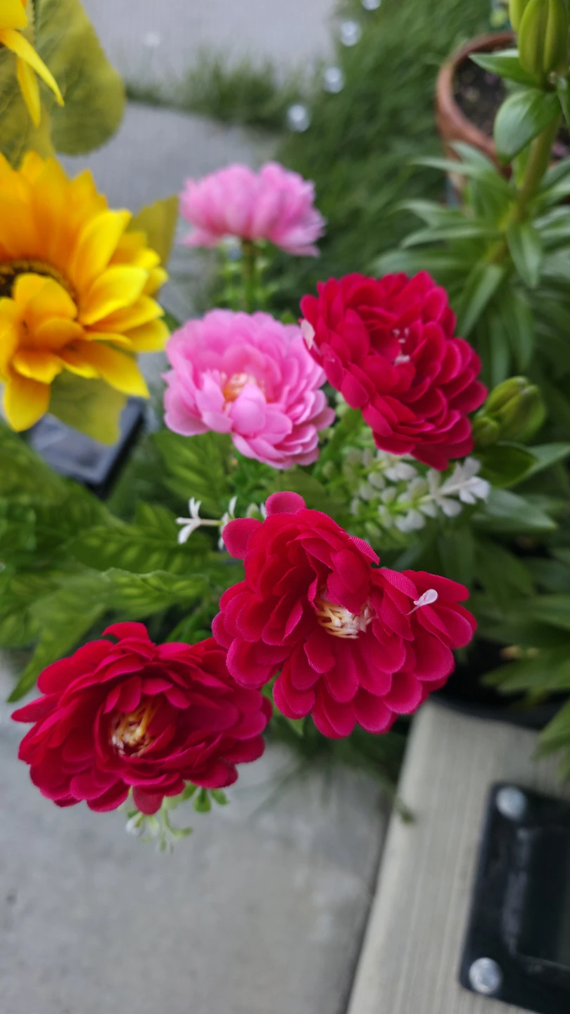 Solar Powered Flower Lights - 5 Sunflowers and 6 Roses - photo 3