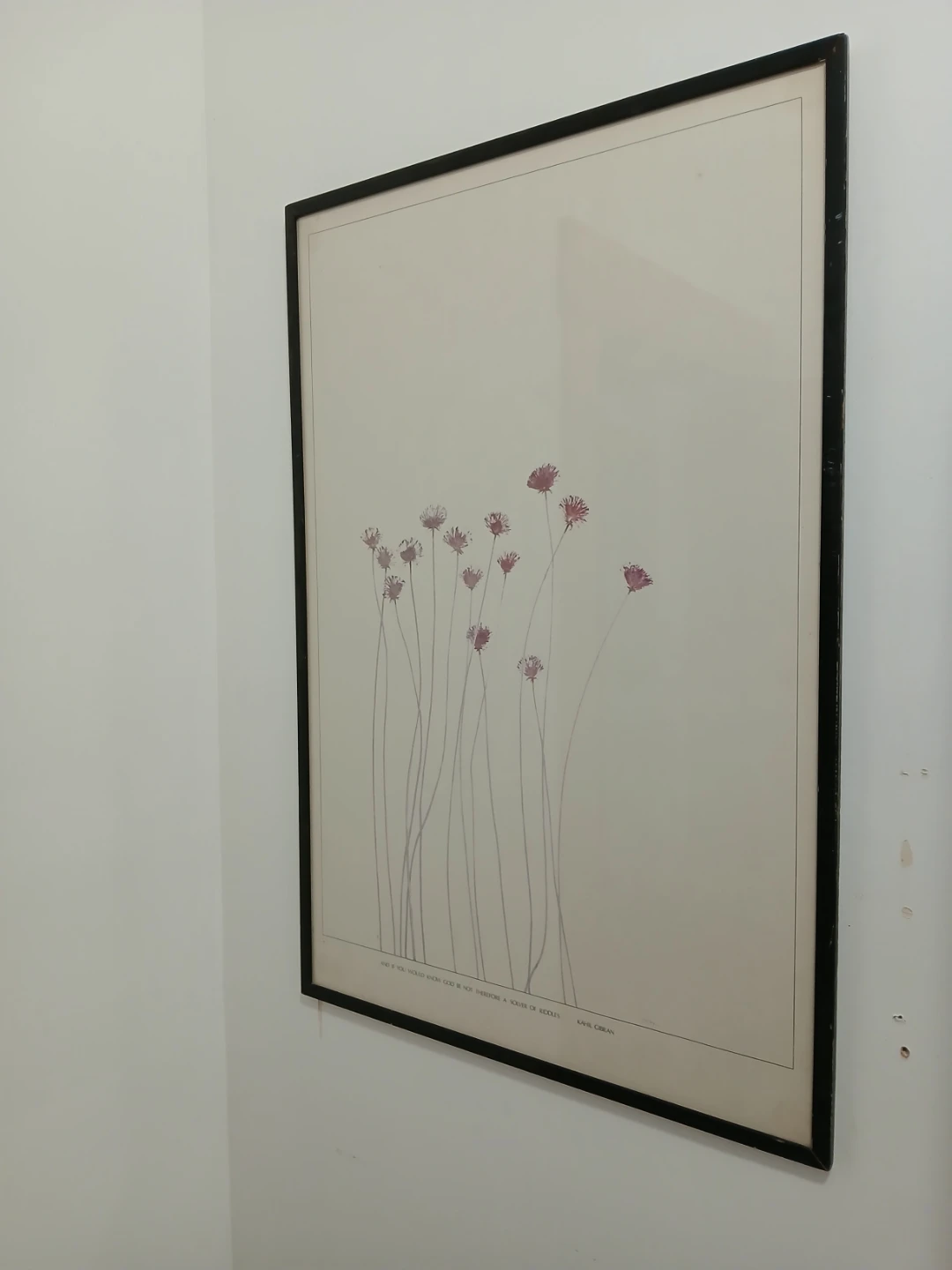 Framed Print "margaritas flowers" by Kahlil Gibran - photo 5