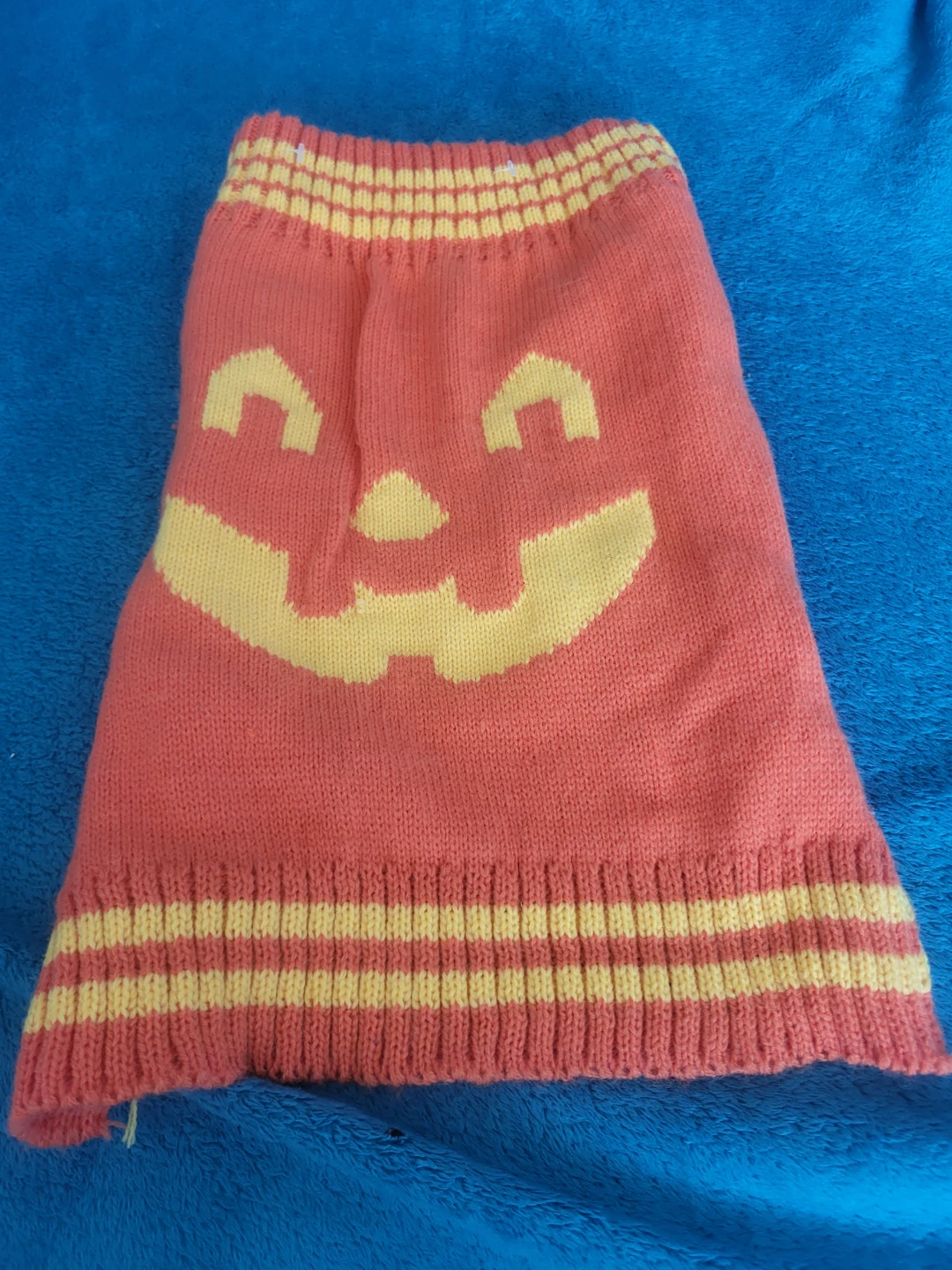 Dog or cat Sweater - Pumpkin Face Design