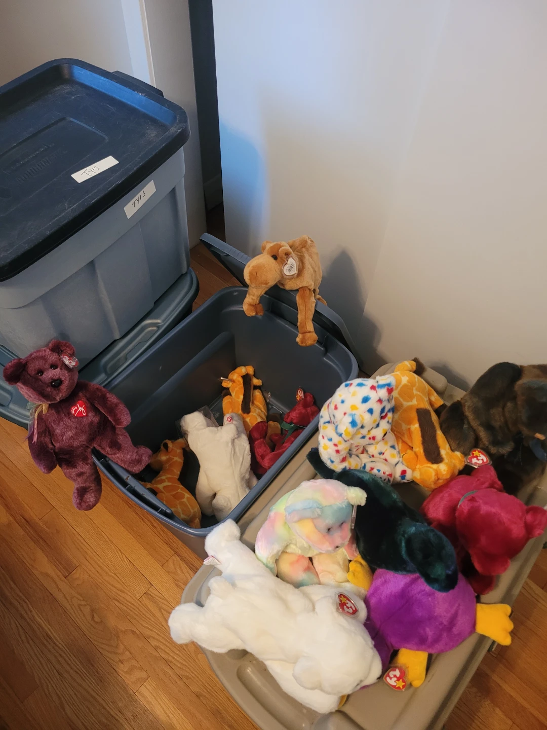 Large Collection of Ty Beanie Babies Plush Toys - photo 5