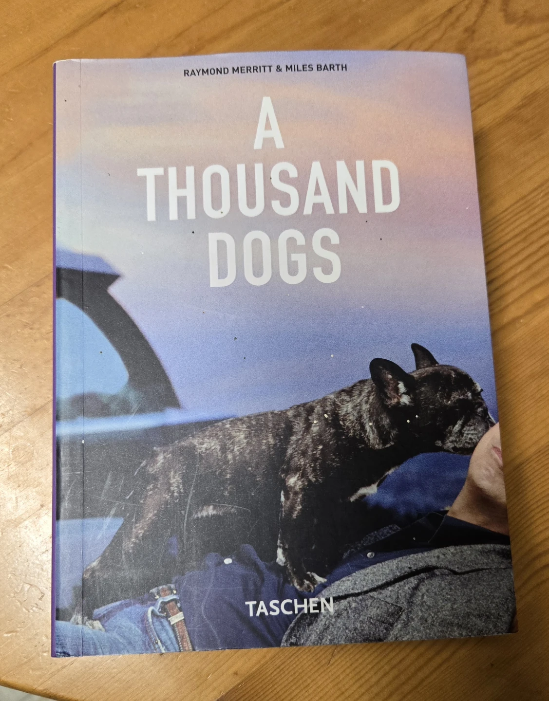 Dogs photo book ⚽️