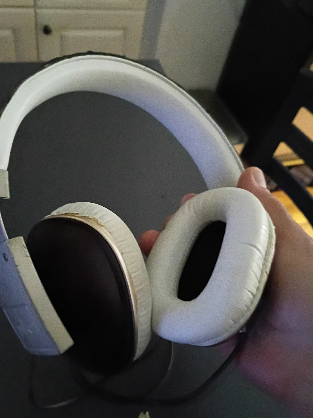 Polk Audio Headphones