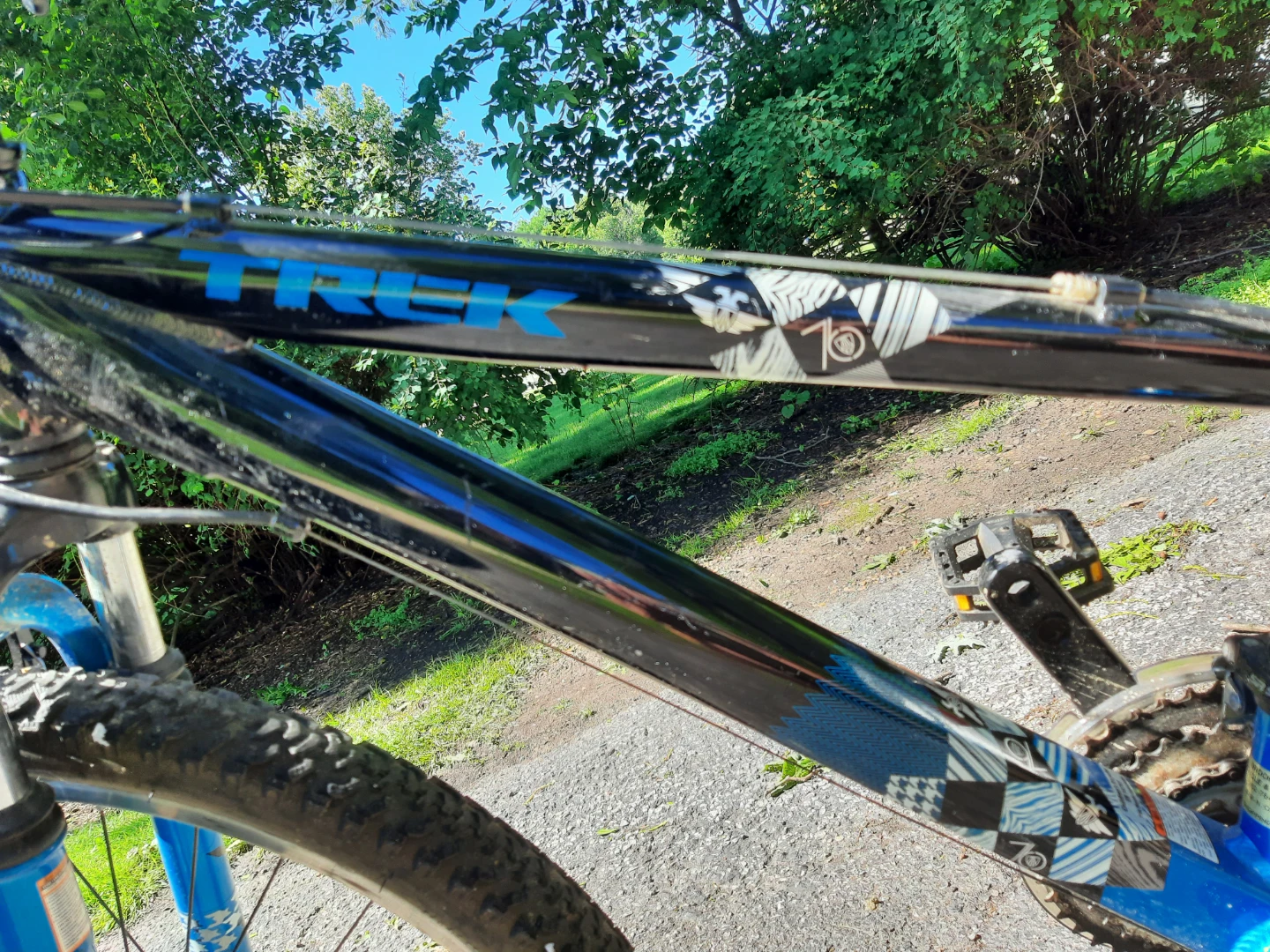 Trek MT220 "Alpha" Aluminum Kids Bike - photo 3