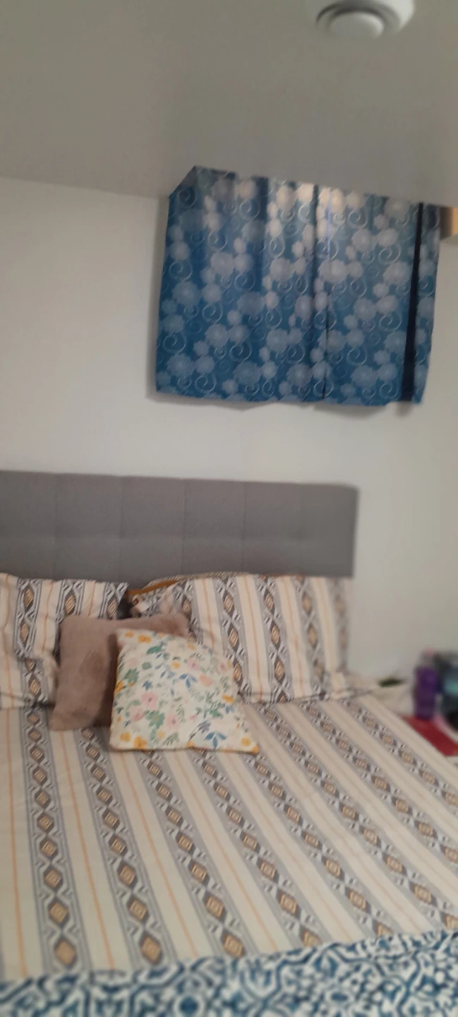 1 Bedroom Basement for rent - photo 5