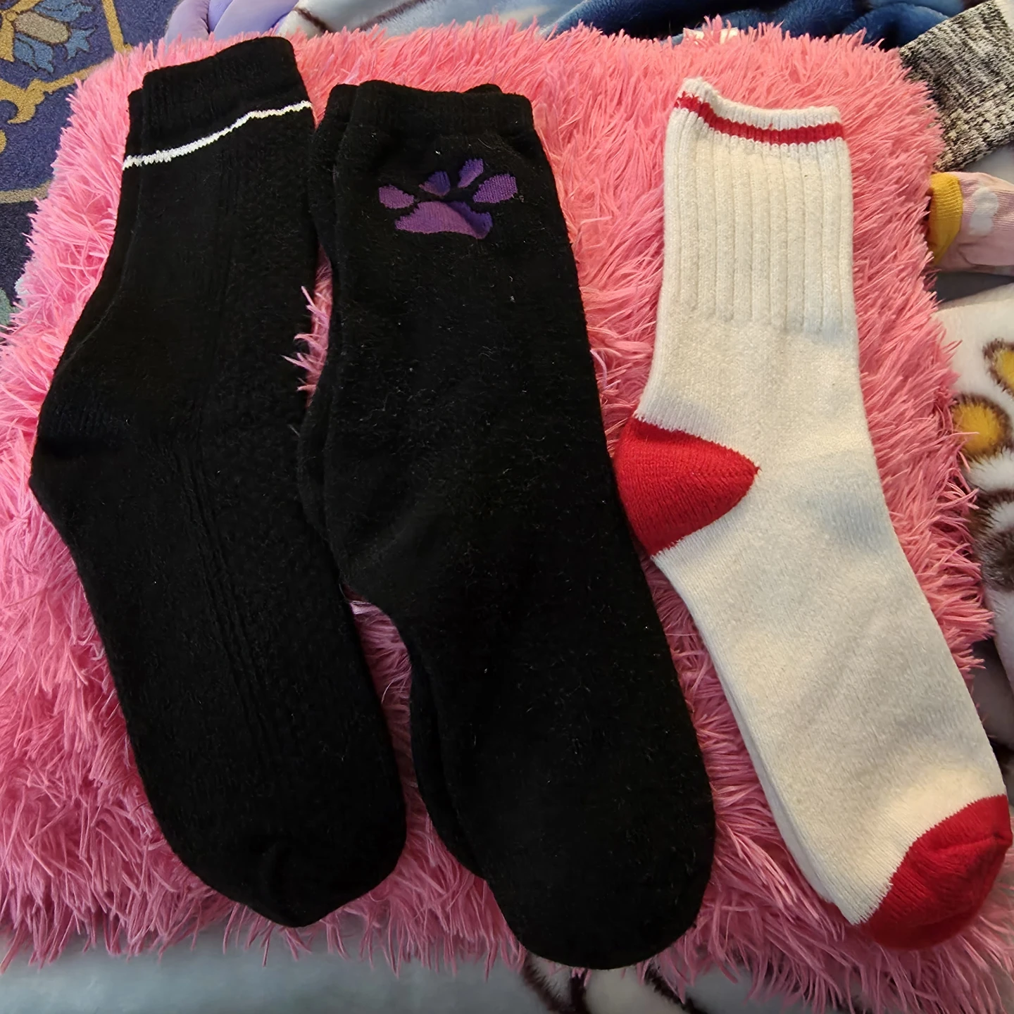 3 Pairs of Socks - Black with Paw Print and White/Red
