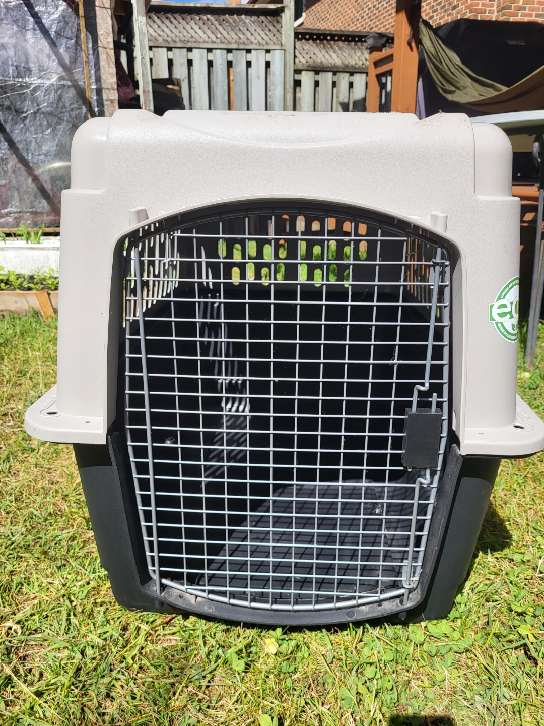 Pet Taxi