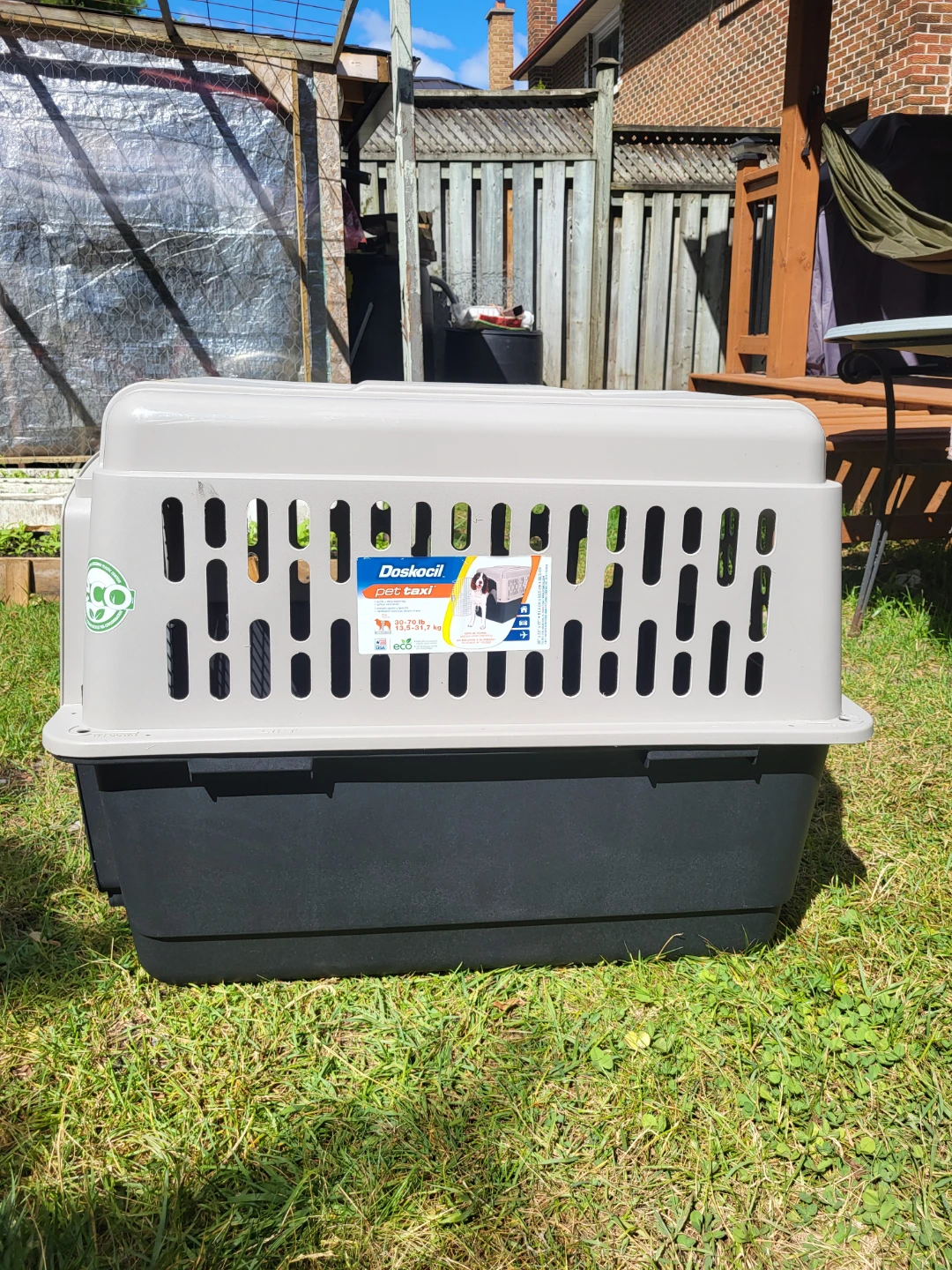 Pet Taxi - photo 3